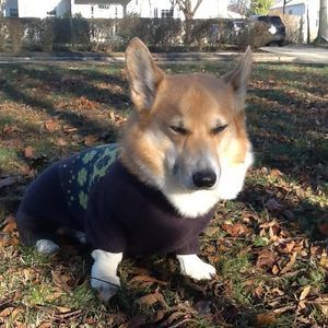 Meet your Posher, Sonia